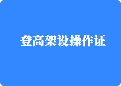 别操我B登高架设操作证